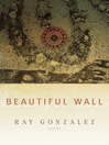 Cover image for Beautiful Wall